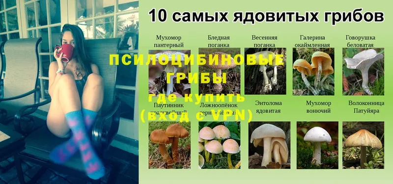 Галлюциногенные грибы Psilocybine cubensis  магазин продажи наркотиков  Рузаевка 